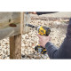 Аккумуляторный шуруповерт DEWALT DCF809NT, 18 В, 190 Нм, 3200 уд/мин, без АКБ и ЗУ, в кейсе (DCF809NT-XJ)